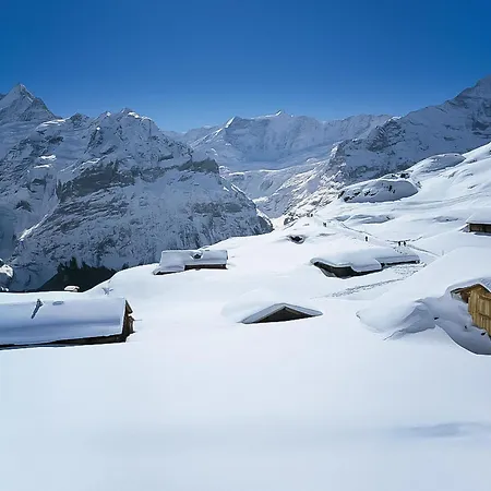 Apartment Mettli-2 By Interhome Grindelwald